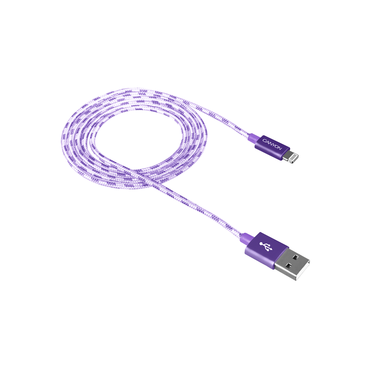 CNE-CFI3P-1.png